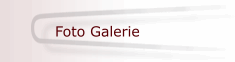 Foto Galerie