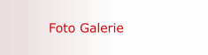 Foto Galerie